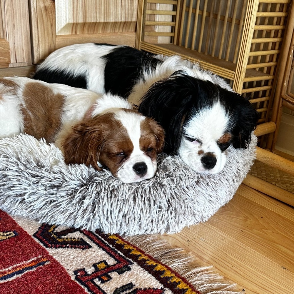 Meet your Posher, Hillary